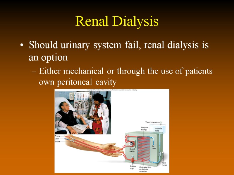 Renal Dialysis Should urinary system fail, renal dialysis is an option Either mechanical or